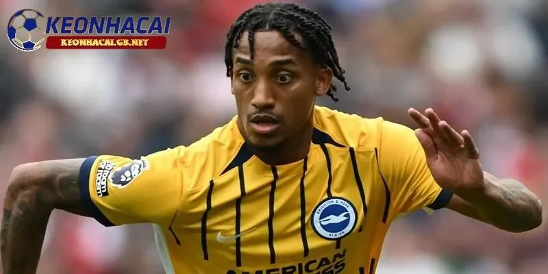 Brighton thét giá cực cao đối với Joao Pedro