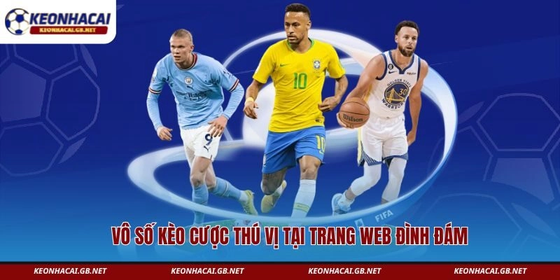 Vô số kèo cược thú vị tại trang web đình đám